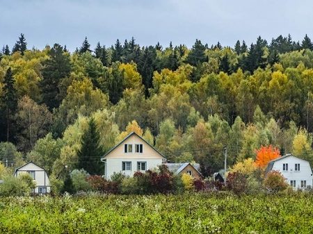 Госдума приняла в I чтении законопроект о продлении дачной амнистии
